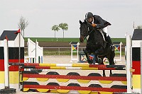 uMG_0006