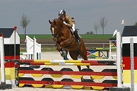 uMG_0012