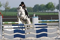 IMG_0006