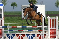 IMG_0015