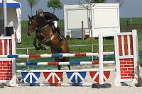 IMG_0001