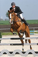 IMG_0009