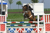 IMG_0010