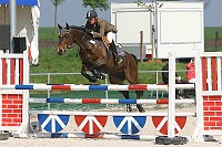 IMG_0012