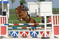 IMG_0017