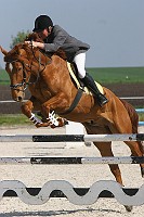 IMG_0018