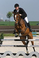 IMG_0036