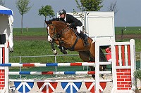 IMG_0037