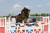 IMG_0028