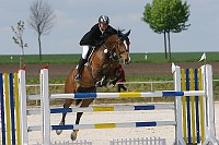 IMG_0003