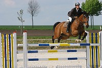 IMG_0029