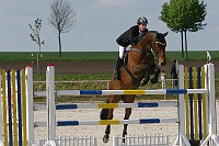 IMG_0052