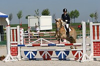 IMG_0041