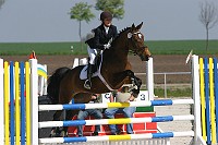 IMG_0010