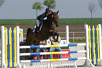 IMG_0012