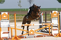 IMG_0013
