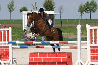 IMG_0014
