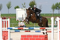 IMG_0050
