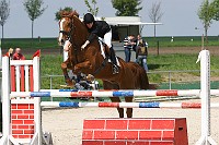 IMG_0104