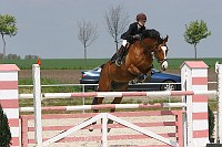 IMG_0010