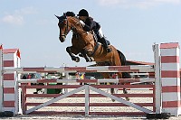 IMG_0037