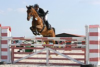 IMG_0045