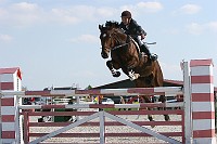 IMG_0066