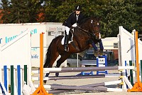 IMG_0001