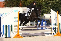 IMG_0010