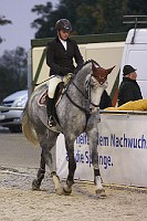 IMG_0016