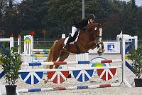 IMG_0038