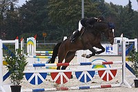 IMG_0042
