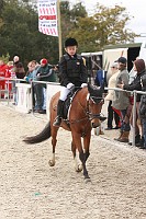 IMG_0033
