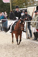 IMG_0040