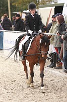 IMG_0041