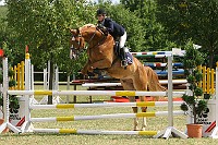 IMG_0069