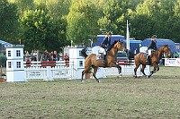 IMG_0049