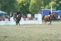 IMG_0078