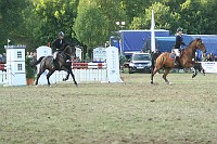 IMG_0079