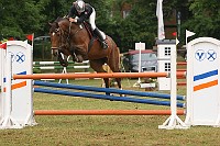 IMG_0012