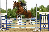 IMG_0046