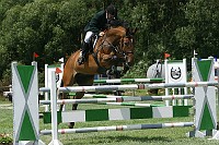 IMG_0037