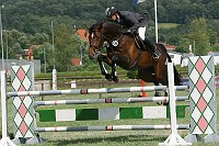 IMG_0010