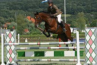 IMG_0019