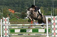 IMG_0031