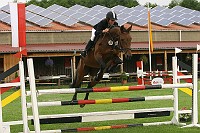 IMG_0010