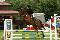IMG_0031