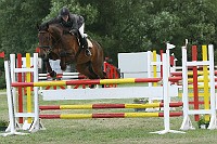 IMG_0019