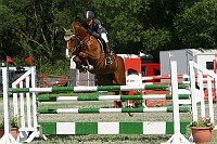 IMG_0006