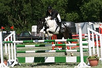 IMG_0037
